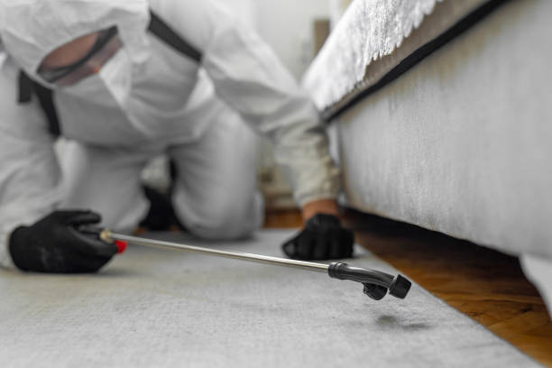 Professional Emergency Pest Control technician working in Country Homes, WA