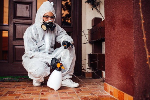 Reliable Emergency Pest Control contractor in Country Homes, WA by Nex Pest Control